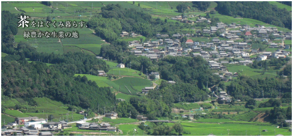 茶をはぐくみ暮らす、緑豊かな生業の地